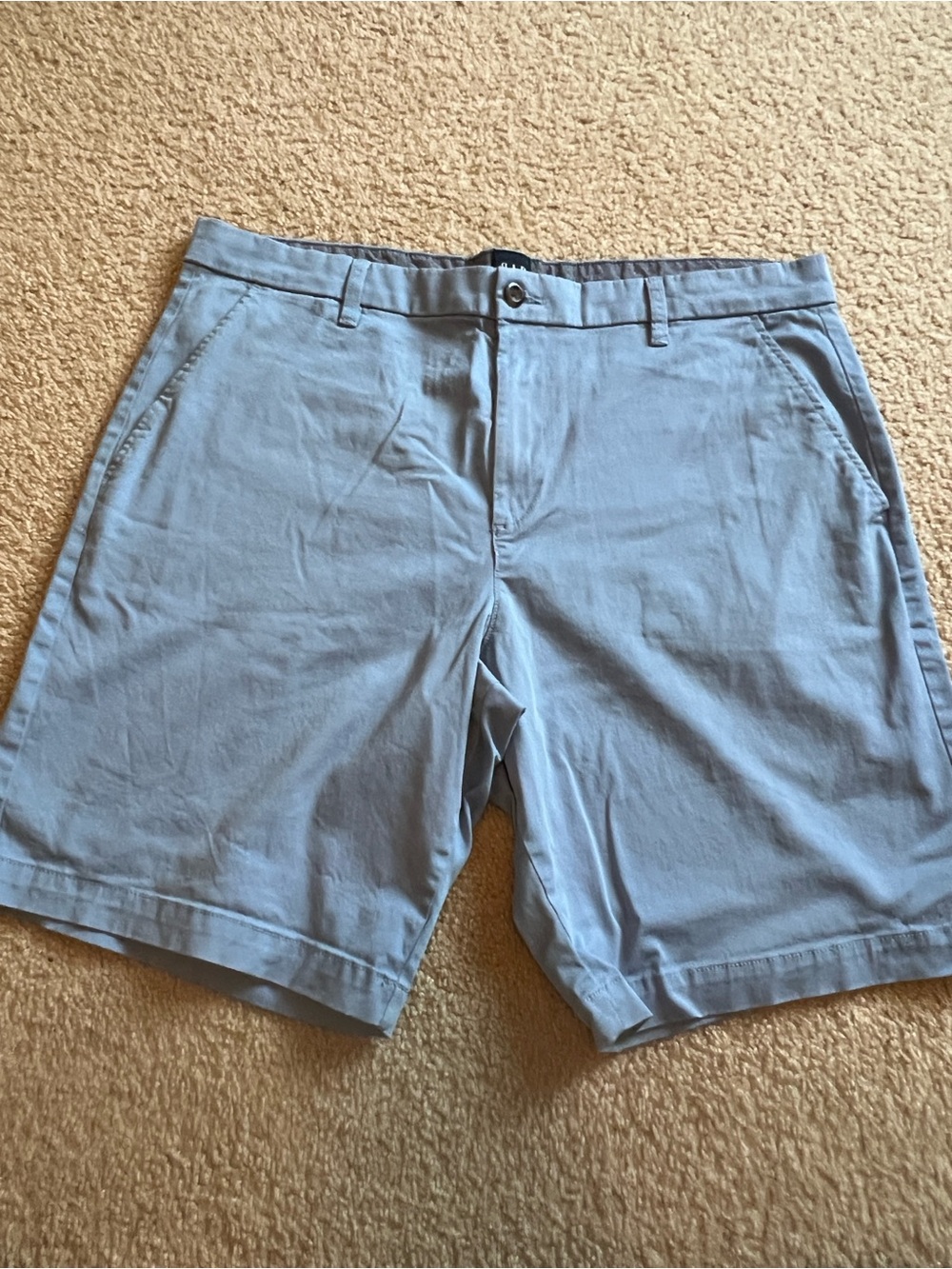 GAP Sky Blue Flat Front Chino Shorts